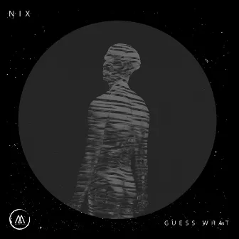 Guess What by Nix