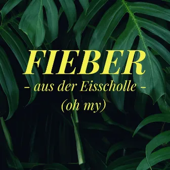 Aus der Eisscholle (Oh My) by Fieber