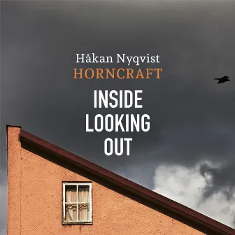 Inside Looking Out by Håkan Nyqvist