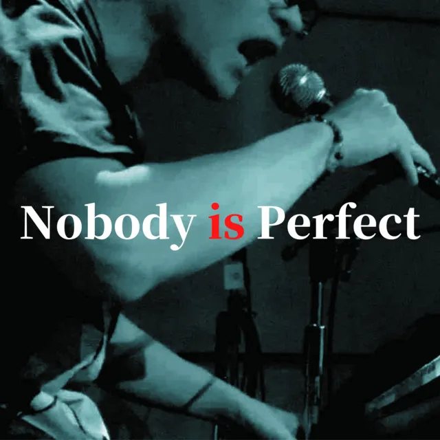 Nobody is Perfect