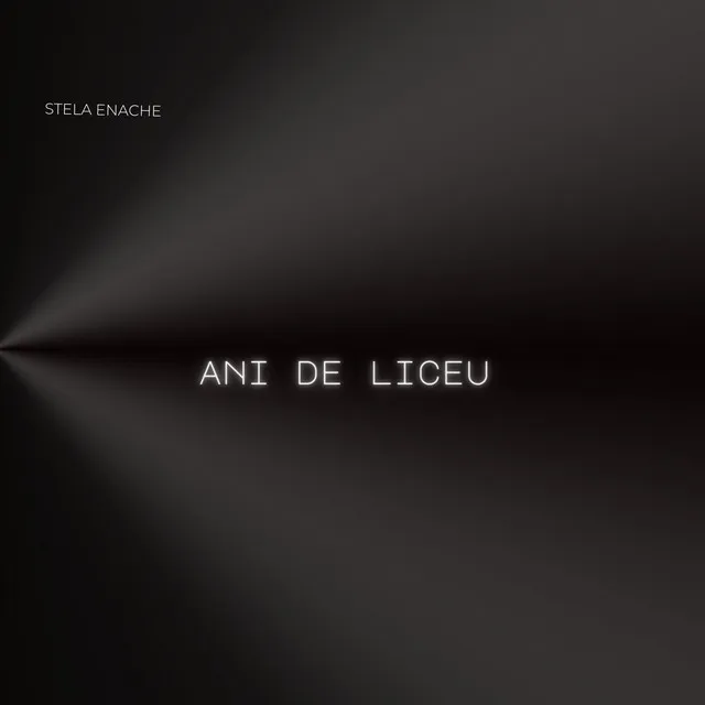 Ani de liceu