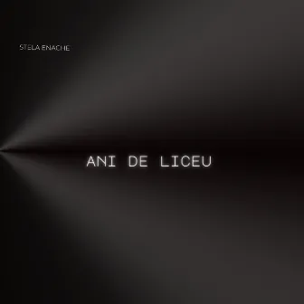 Ani de liceu by Stela Enache