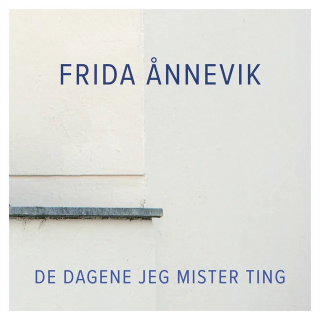 De Dagene Jeg Mister Ting