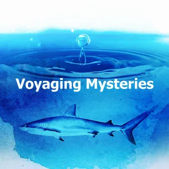 Voyaging Mysteries by Ocean Mysteries