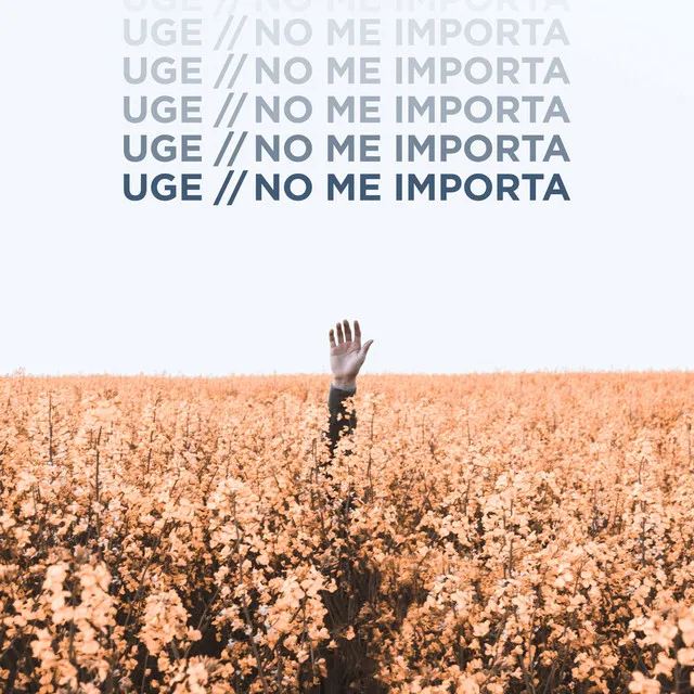 No Me Importa