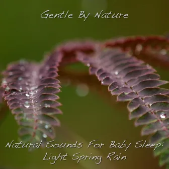 Natural Sounds for Baby Sleep: Light Spring Rain by Gentle by Nature