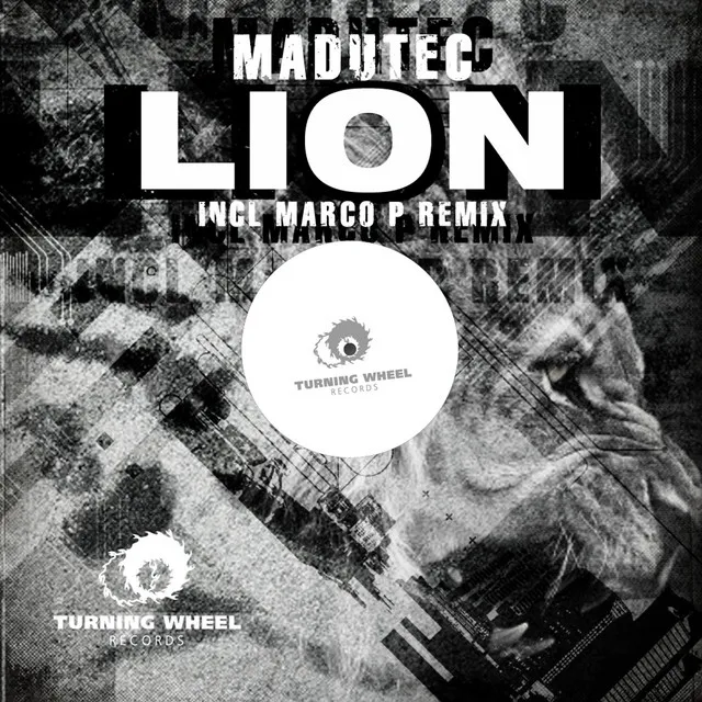 Lion - Marco P Remix