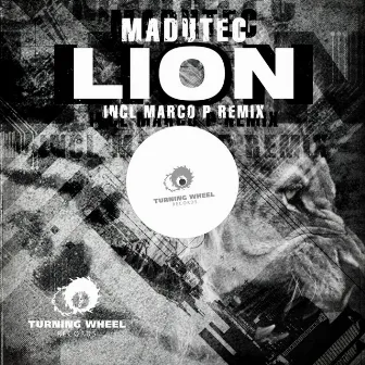 Lion by Madutec