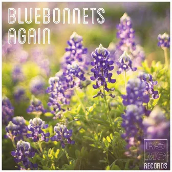 Bluebonnets again by Rod Correa