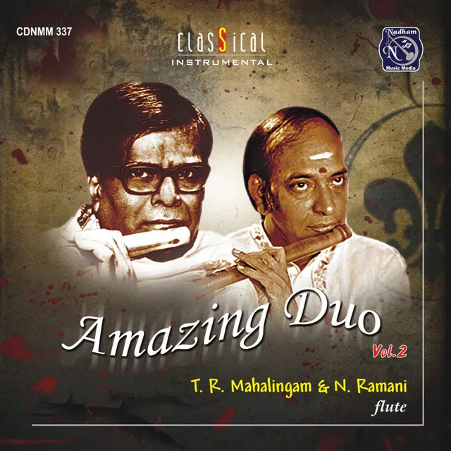 Amazing Duo Vol. 2