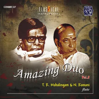 Amazing Duo Vol. 2 by T. R. Mahalingam