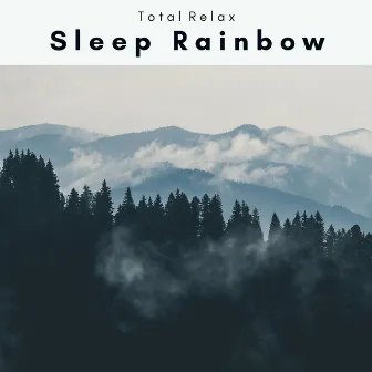 2022 Sleep Rainbow by Sea of Calmness