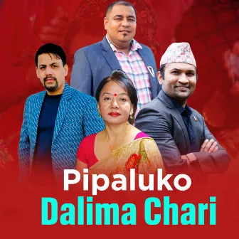 Pipaluko Dalima Chari by Roshan Kutal Chhetri