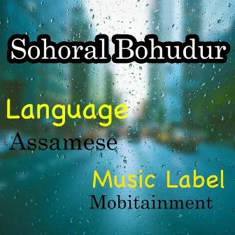 Sohoral Bohudur by Abhijit Barman