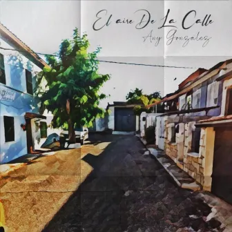 El aire de la calle by Any González