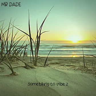 Something to Vibe 2 by Mr Dade