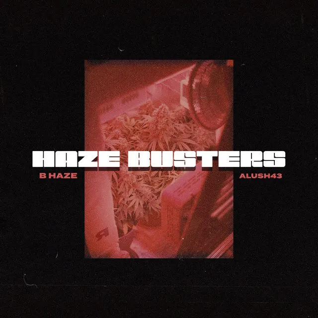 HazeBusters