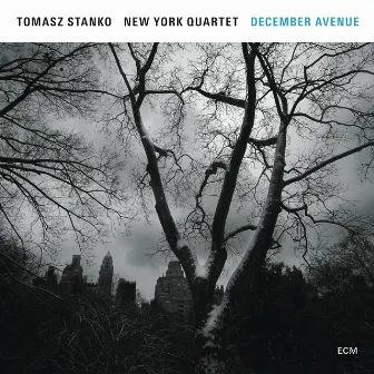 December Avenue by Tomasz Stanko New York Quartet