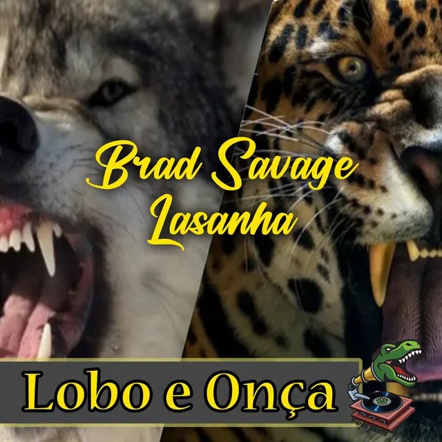 Lobo e Onça