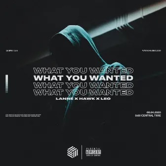 What You Wanted by Leo