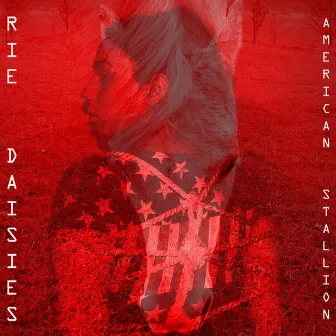 American Stallion by Rie Daisies