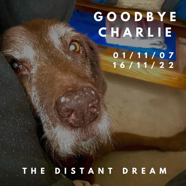 Goodbye Charlie