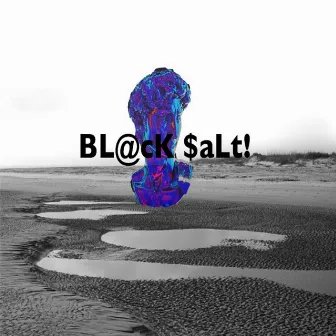 Black Salt by L. BraVo