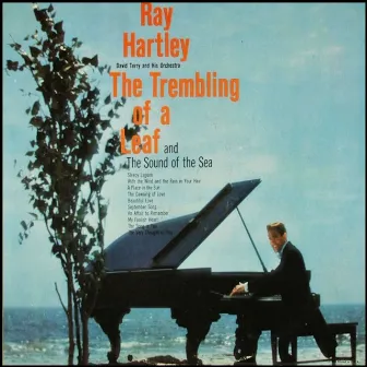 The Trembling of a Leaf and the Sound of the Sea by David Terry & His Orchestra