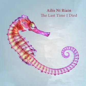 Ailís Ní Ríain: The Last Time I Died by Ailís Ní Ríain