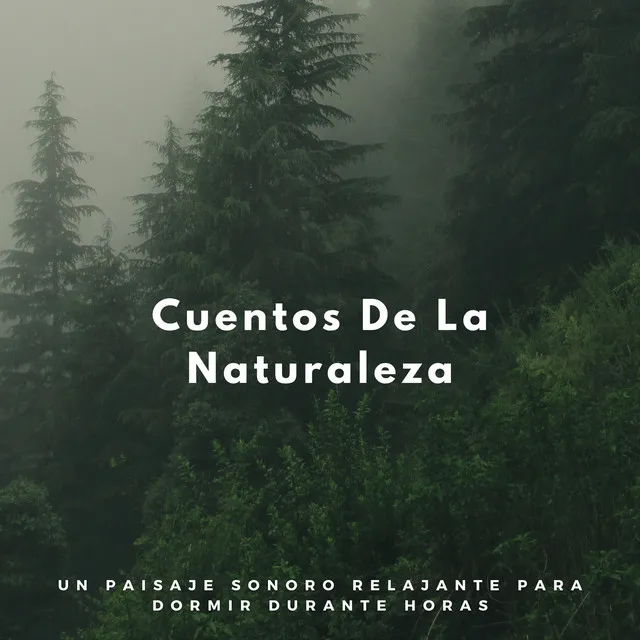 Cuentos De La Naturaleza: Un Paisaje Sonoro Relajante Para Dormir Durante Horas