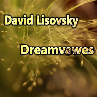 Dreamvawes by David Lisovsky