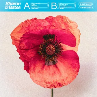 Lo que no se ve y Lo contrario by Sharon Bates