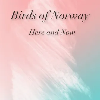 Here and Now by Birds of Norway