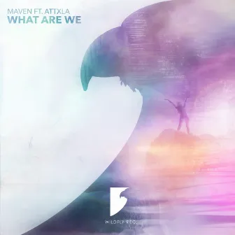 What Are We by MAVEN