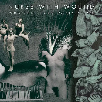 Who Can I Turn To Stereo by Nurse With Wound