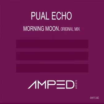 Morning Moon by Paul Echo