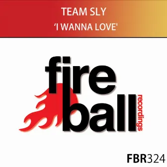 I Wanna Love by Team Sly