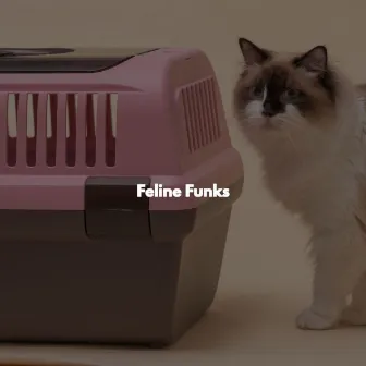 Feline Funks by Frühstücksmusik Klassiker