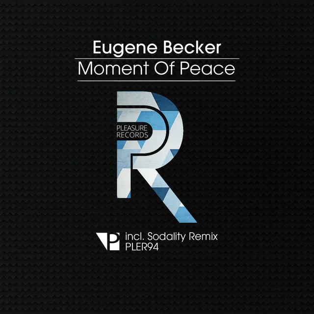 Moment of Peace - Sodality Remix