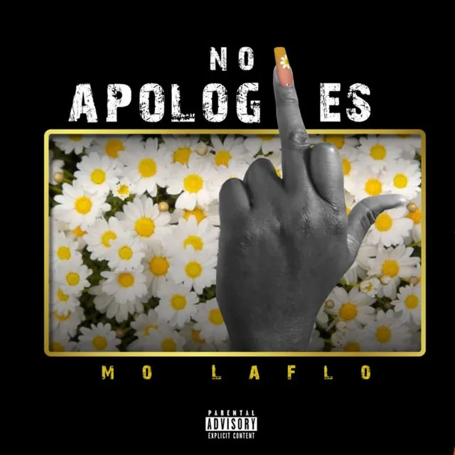 NO APOLOGIES