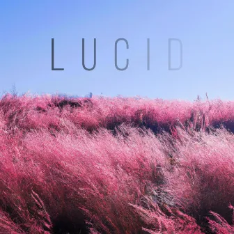 Lucid by The Harvard Opportunes