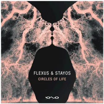 Circles of Life by Stayos