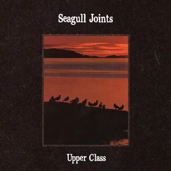 seagull joints by upper class