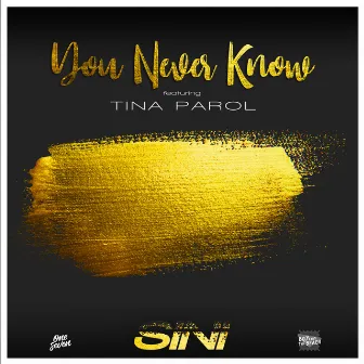 You Never Know (feat. Tina Parol) by Sini