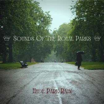 Hyde Park Rain by Sounds Of The Royal Parks