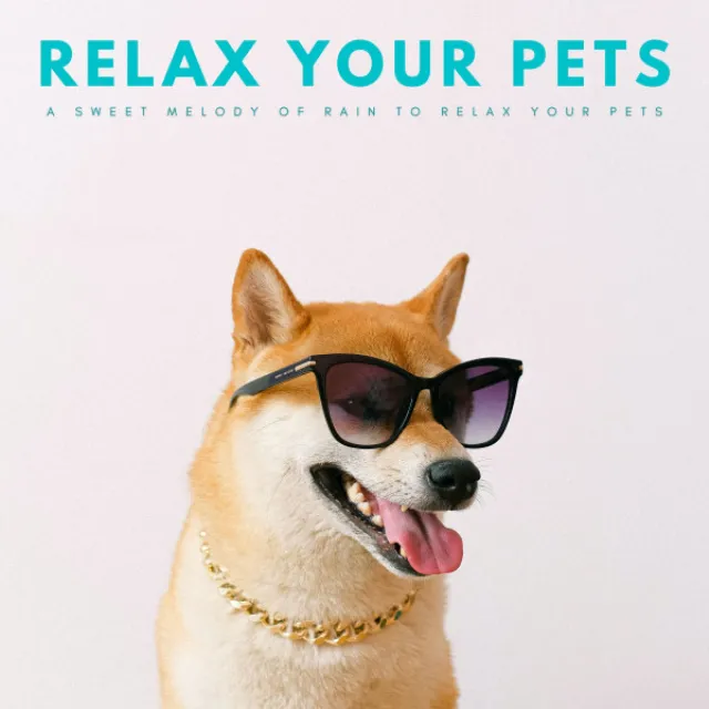 Relax Your Pets: A Sweet Melody Of Rain To Relax Your Pets