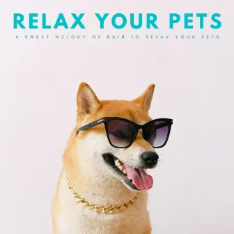 Relax Your Pets: A Sweet Melody Of Rain To Relax Your Pets by Vindeffi