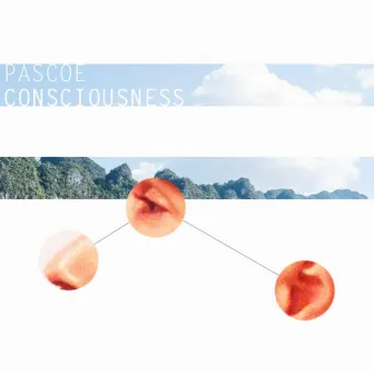 Consciousness by Pascoe