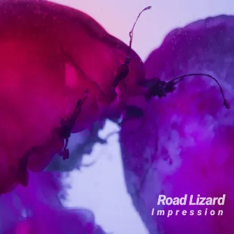 Impression by Road Lizard