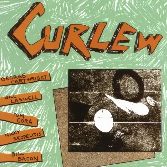 Curlew by Curlew